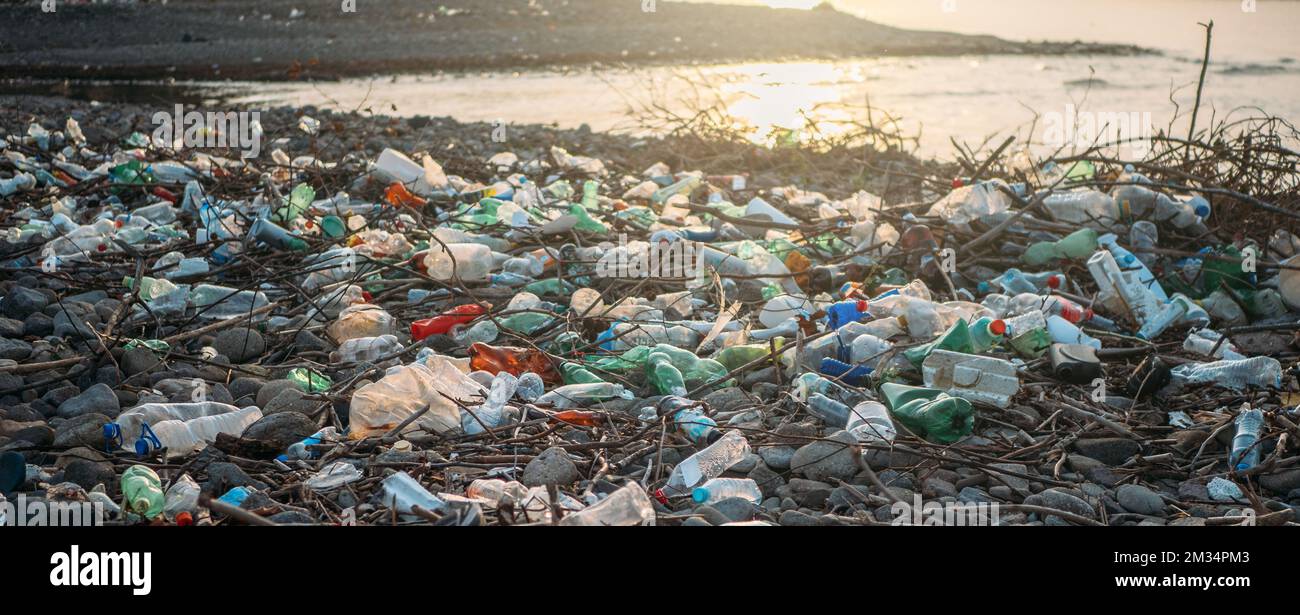 Steinstrand mit Plastikabfällen. Plastikflaschen in der Natur. Umweltverschmutzungskonzept. Stockfoto