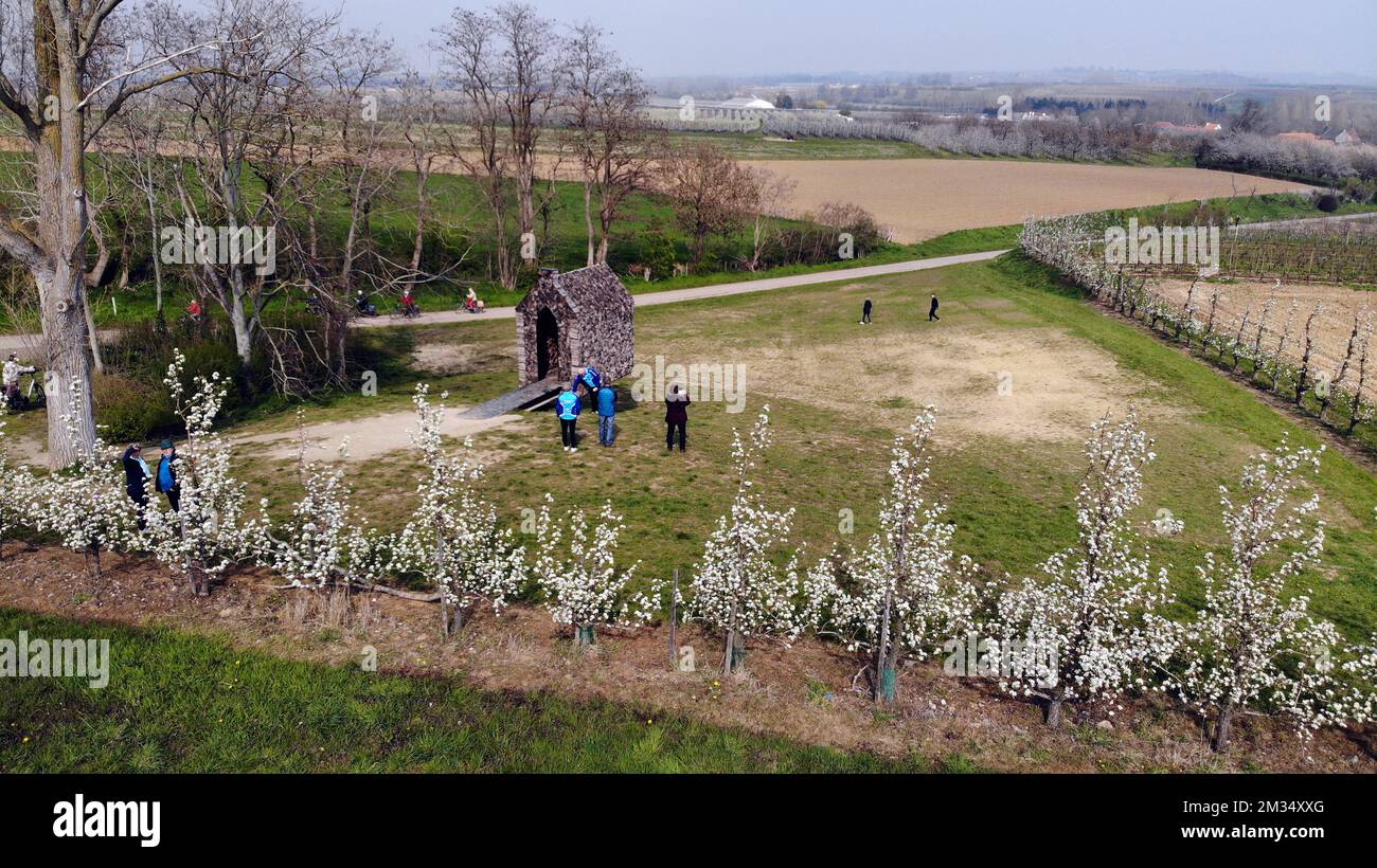 Die Drohnendarstellung zeigt die Helsh(ea)ven-Kapelle, die vom Künstler Frits Jeuris aus geschlagenen Obstbäumen in Sint-Truiden, Region Haspengouw, Limburg, am Montag, den 19. April 2021 hergestellt wurde. BELGA FOTO ERIC LALMAND Stockfoto