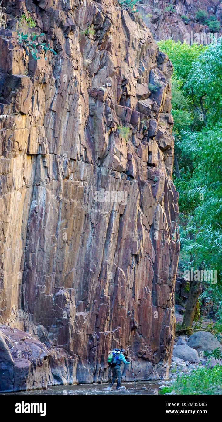 Landschafts- und Wildtieraufnahmen in der Aravaipa Canyon Wilderness Area im Süden Arizonas Stockfoto