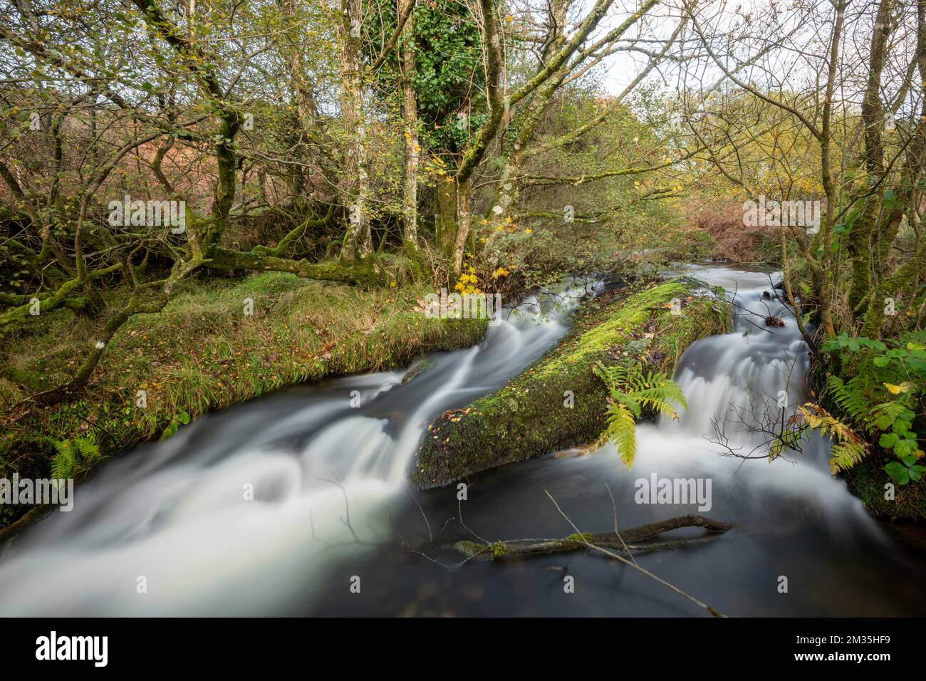 Vintage Regenkette 2,6m Metall - Wassserfall-Dekoration Für Garten & Dachrinne