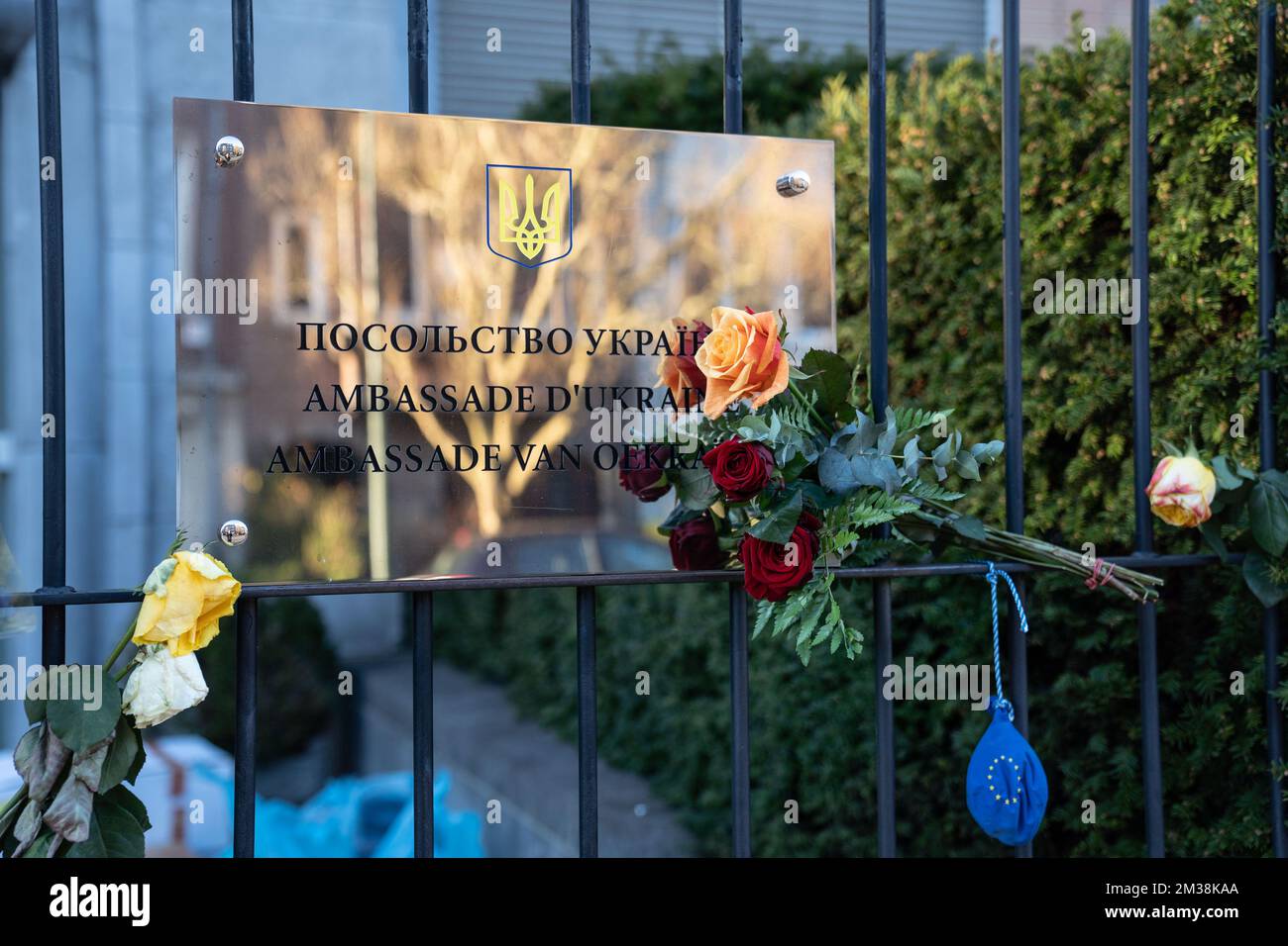 Blumen in der ukrainischen Botschaft in Brüssel, Sonntag, den 27