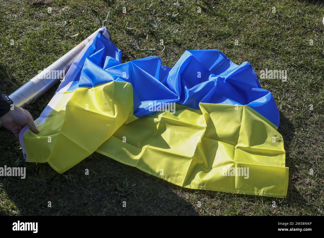 Am Freitag, den 04. März 2022, wird im Rathaus von Zottegem zur Unterstützung der ukrainischen Bevölkerung nach der Invasion des Landes durch Russland eine ukrainische Flagge gehisst. BELGA FOTO NICOLAS MAETERLINCK Stockfoto