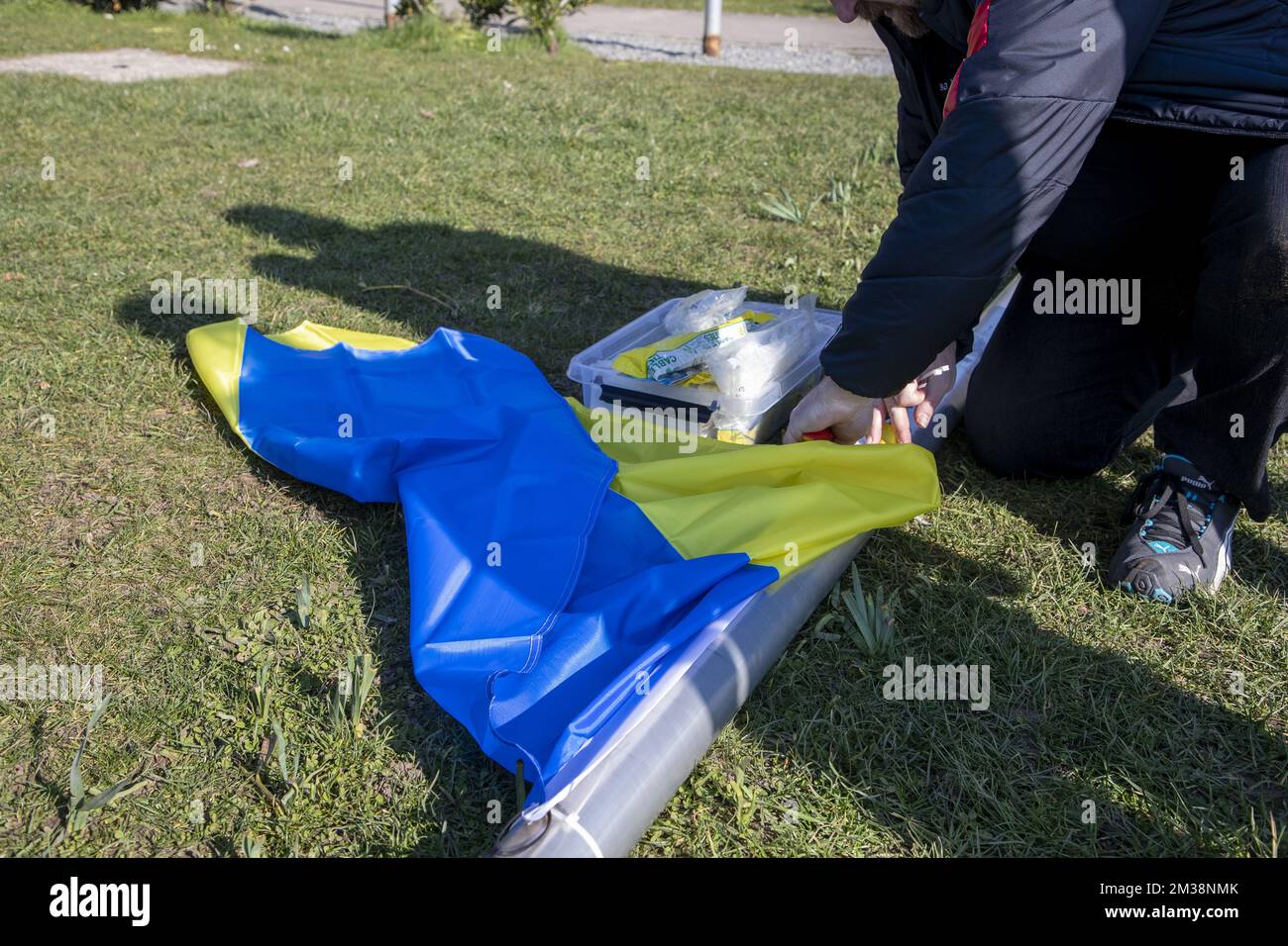 Am Freitag, den 04. März 2022, wird im Rathaus von Zottegem zur Unterstützung der ukrainischen Bevölkerung nach der Invasion des Landes durch Russland eine ukrainische Flagge gehisst. BELGA FOTO NICOLAS MAETERLINCK Stockfoto