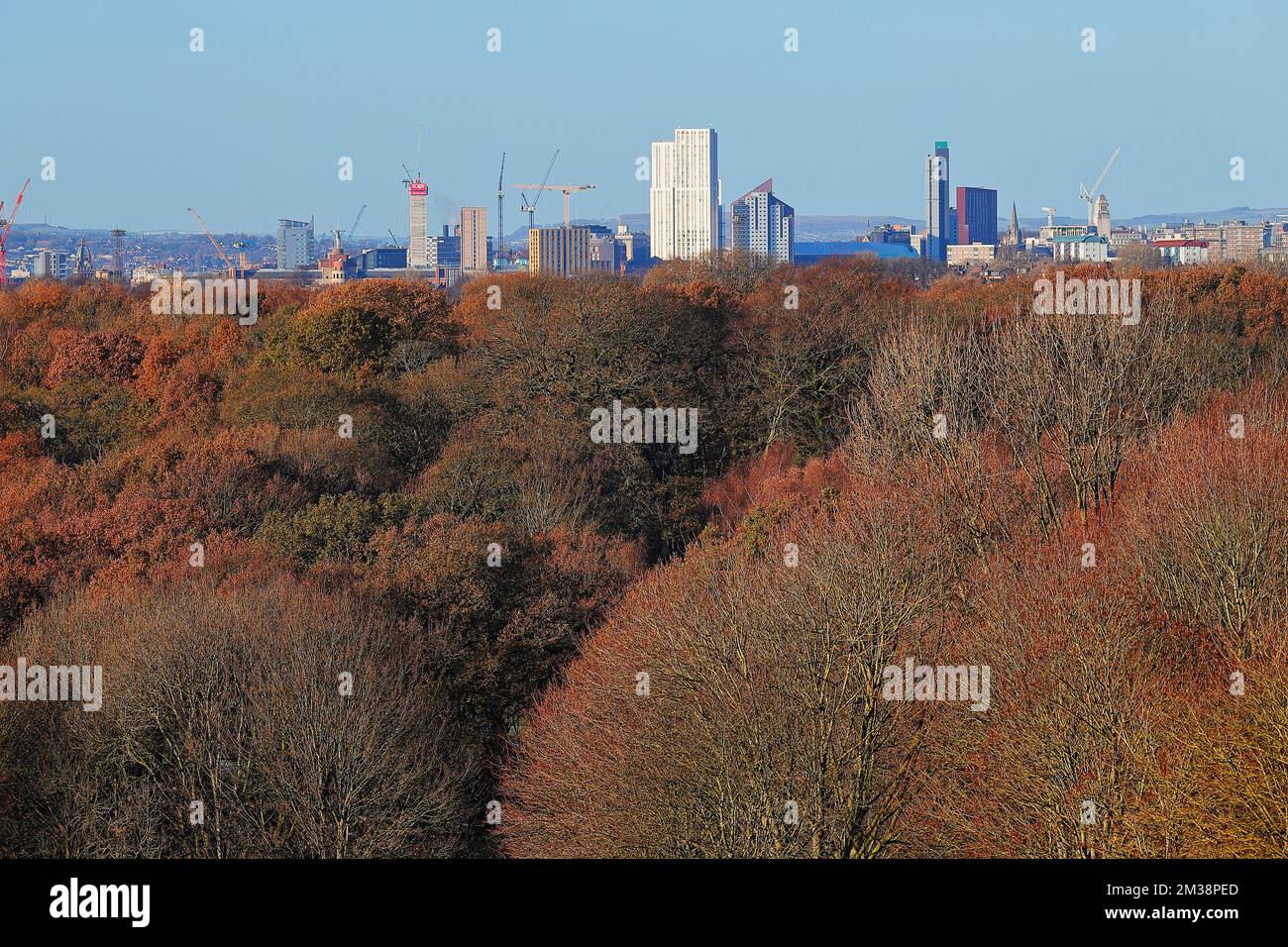 Ein Blick auf die Skyline von Leeds City an einem Herbsttag vom Tempel Newsam in West Yorkshire, Großbritannien Stockfoto