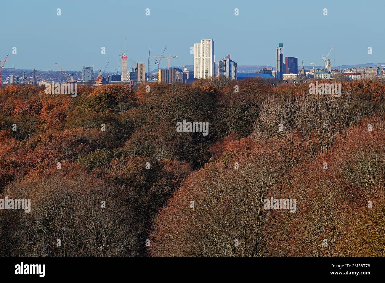 Ein Blick auf die Skyline von Leeds City an einem Herbsttag vom Tempel Newsam in West Yorkshire, Großbritannien Stockfoto