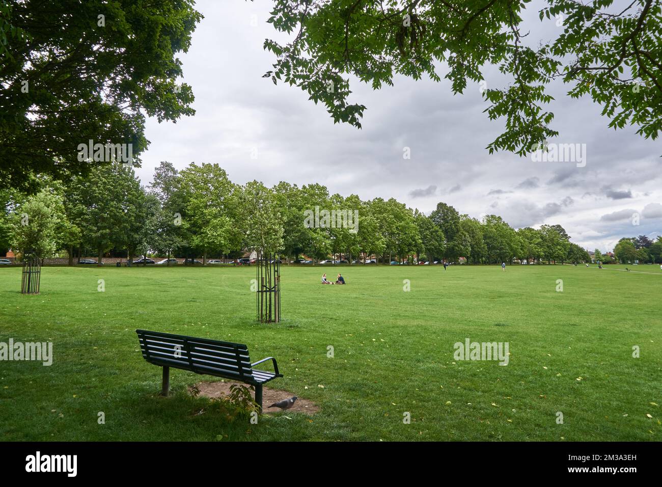 Menschen, die auf dem Gras mitten im Common in Saffron Walden, Essex, Großbritannien, sitzen Stockfoto