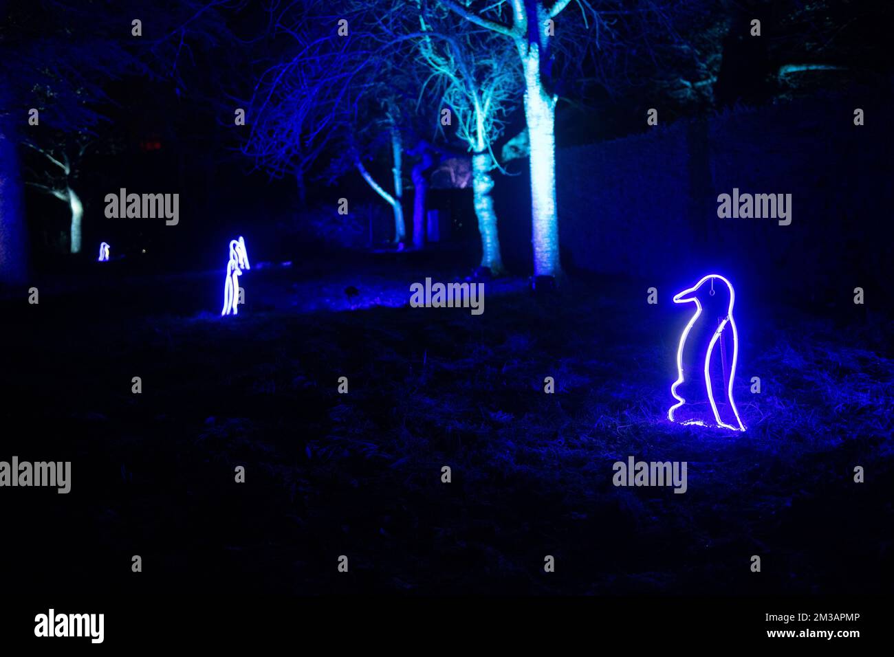 Blenheim Palace Light Trail, 13.. Dezember 2022 Stockfoto