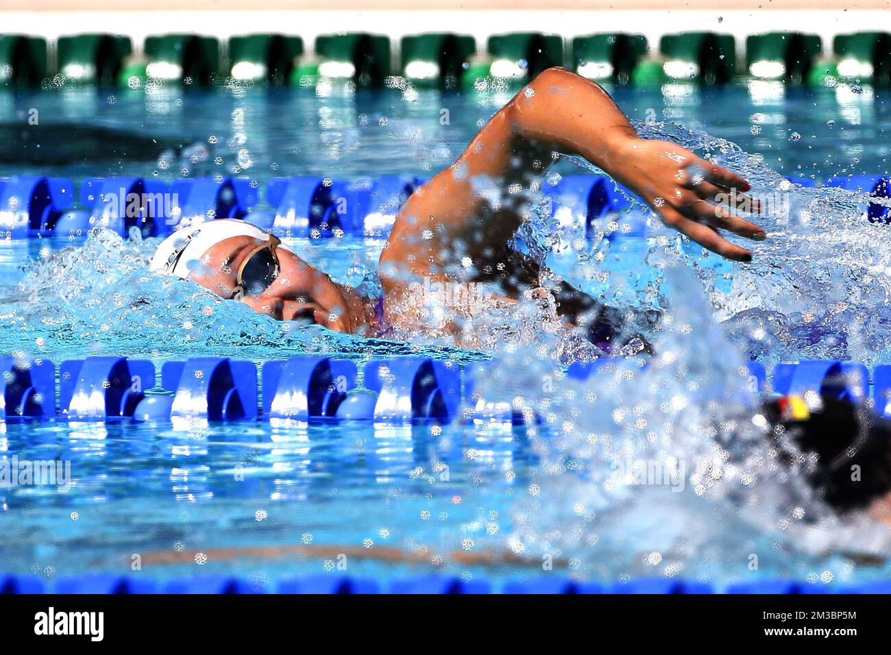 Die Belgierin Lucie Hanquet wurde während der Freistil der Frauen 1500m bei den Europameisterschaften im Schwimmen in Rom, Italien, am Sonntag, 14. August 2022, in Aktion gezeigt. Die Schwimmeuropameisterschaften 2022 finden vom 11. Bis 21. August statt. BELGA FOTO NIKOLA KRSTIC Stockfoto