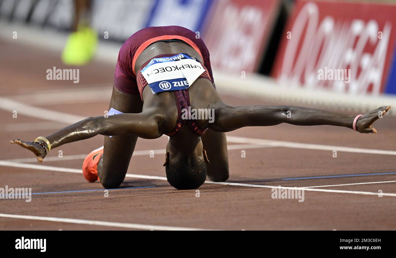 Die Kenianerin Jackline Chepkoech feiert am Freitag, dem 02. September 2022, den Sieg des 3000m-stämmigen-stämmiger Damenwagens bei der 2022. Auflage des Memorial Van Damme Diamond League Meeting Athletics Event in Brussel. BELGA FOTO ERIC LALMAND Stockfoto