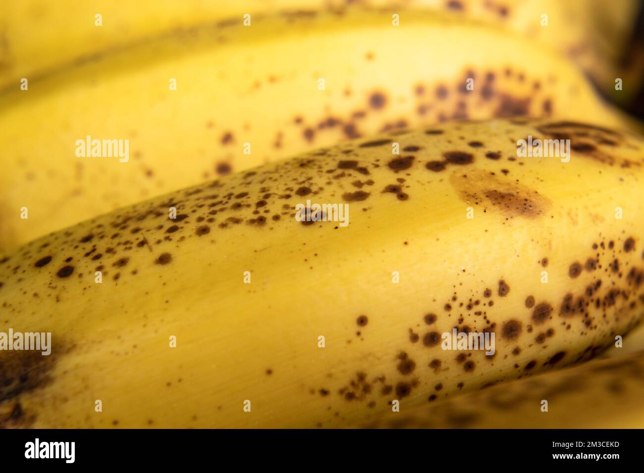 Makrofotografie zu einer frischen, gelben Sommersprossen-Bananenstruktur. Obst- und Texturkonzept Stockfoto