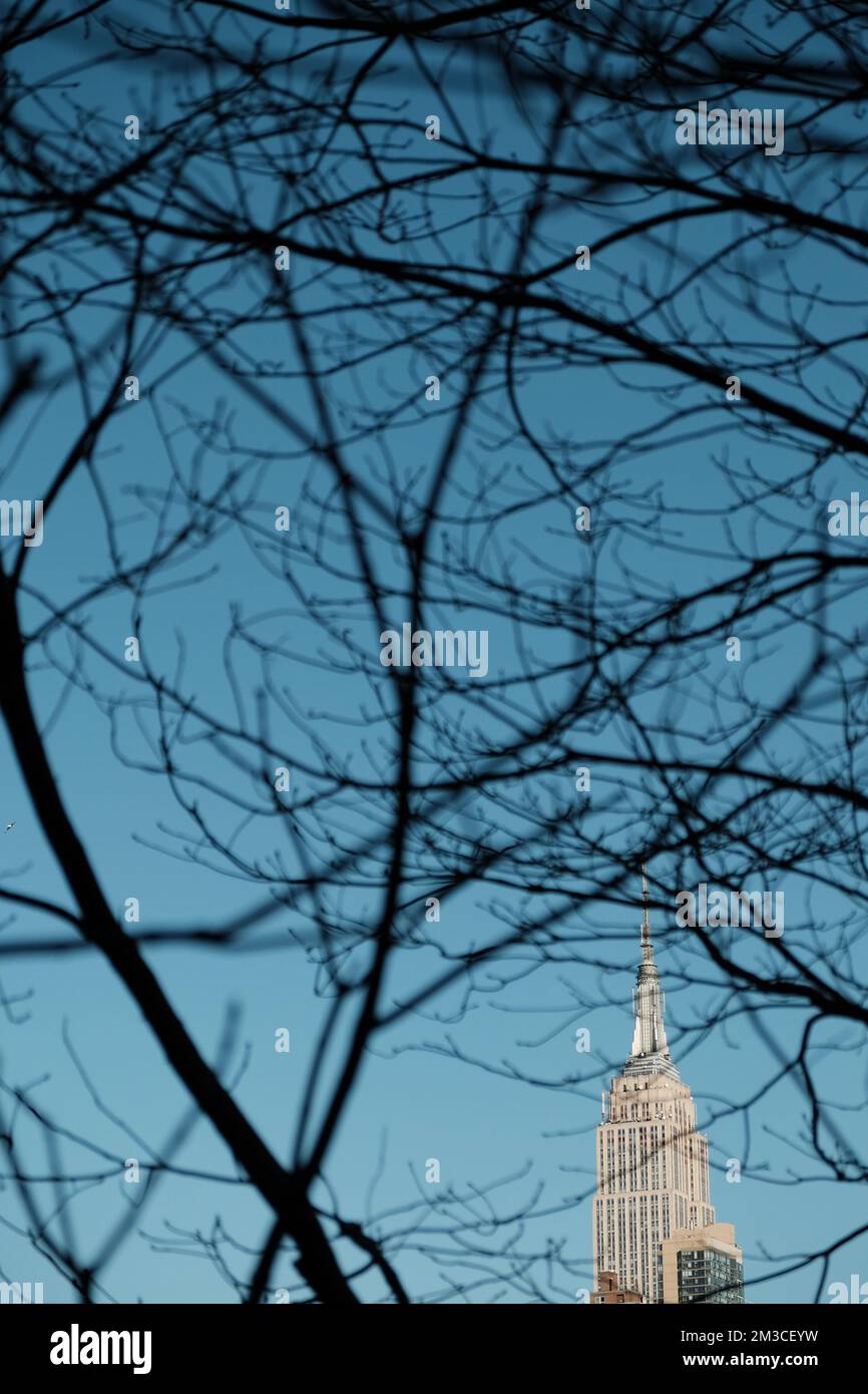 Einzigartiger Blick auf das Empire State Building durch die Silhouette der Bäume mit blauem Himmel Stockfoto
