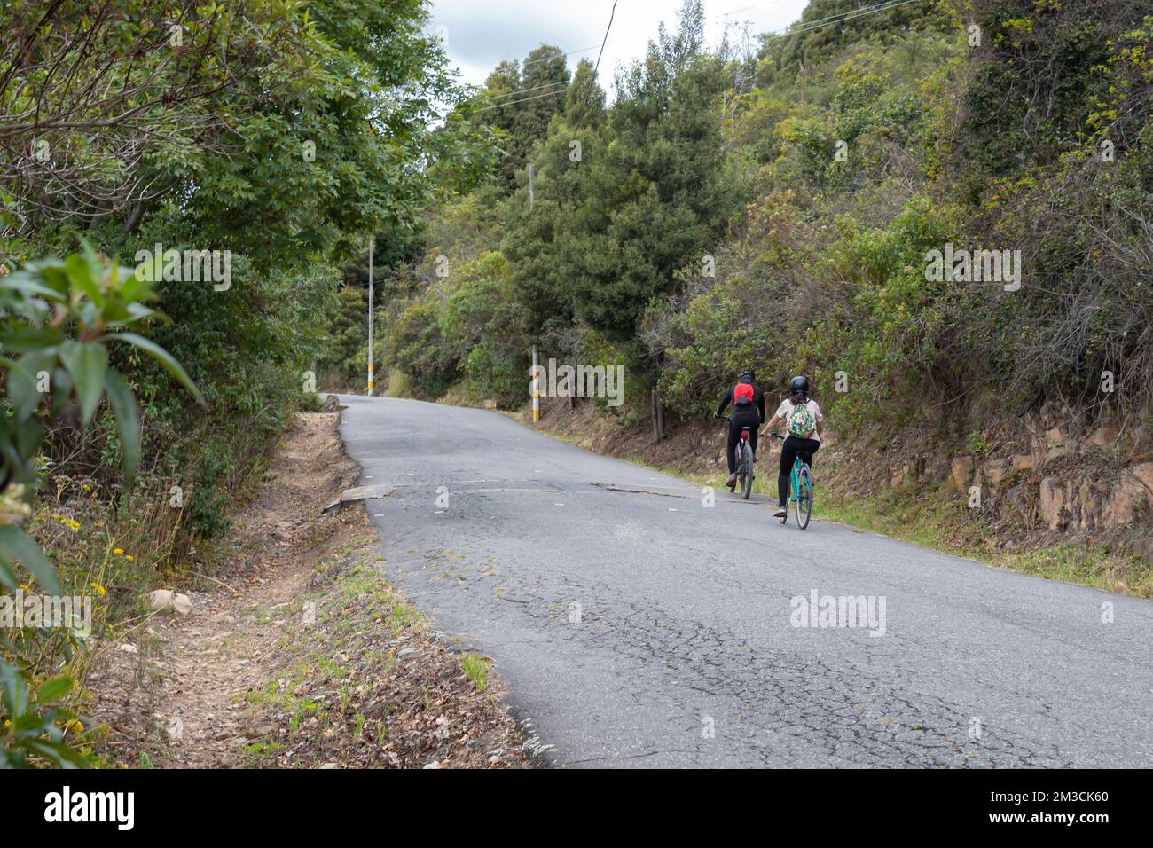 Ein paar junge Männer und Frauen, die mit dem Fahrrad in einen alten Straßenberg im Wald reiten. Sport-, Abenteuer- und Reisekonzept Stockfoto