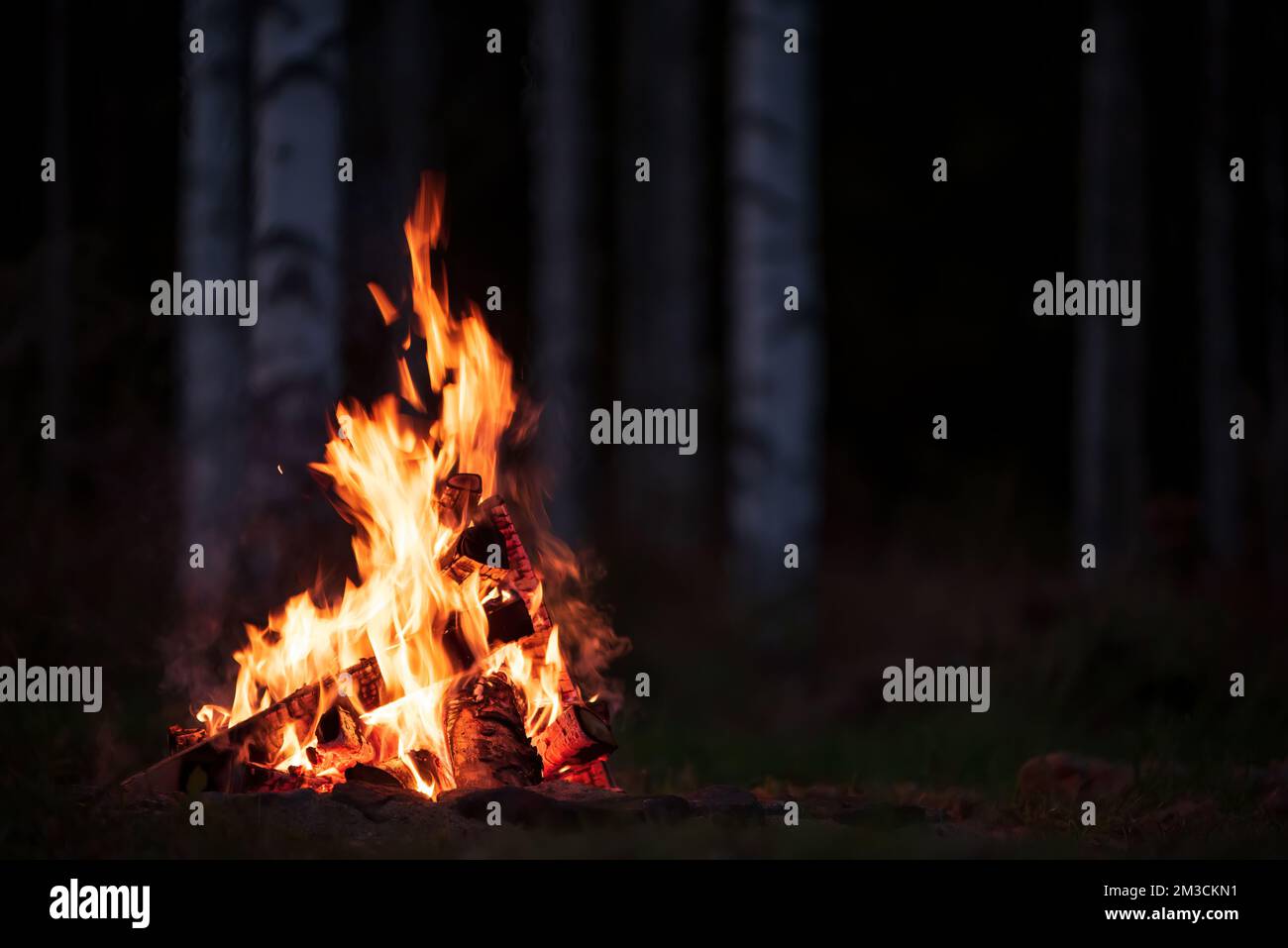 Brennen Lagerfeuer auf einer dunklen Nacht in einem Wald Stockfoto