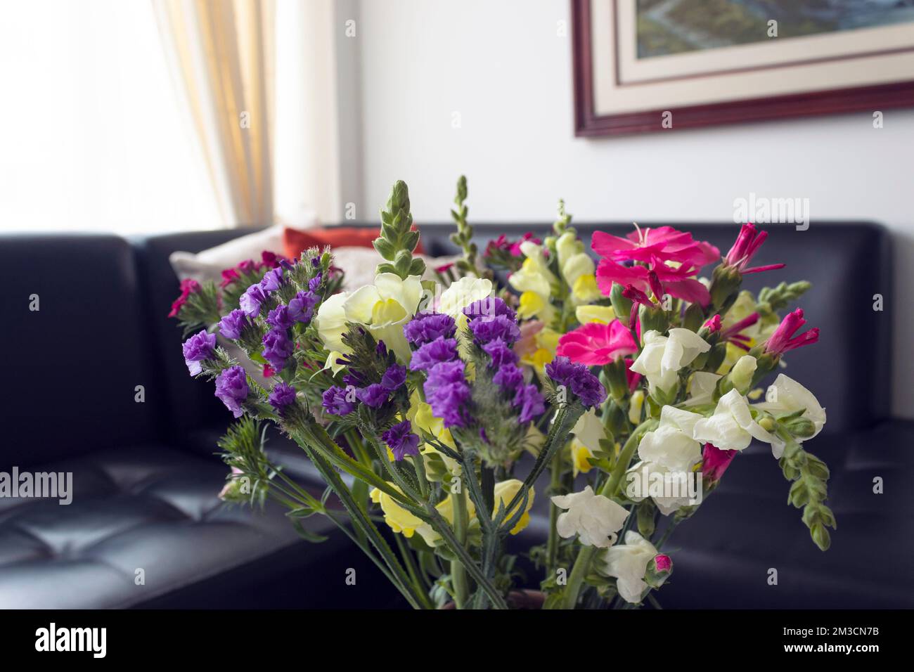 Wunderschöne Aufnahme von farbenfrohen und sommerlichen Blumen, die das Wohnzimmer, Mode und Innendesign schmücken Stockfoto