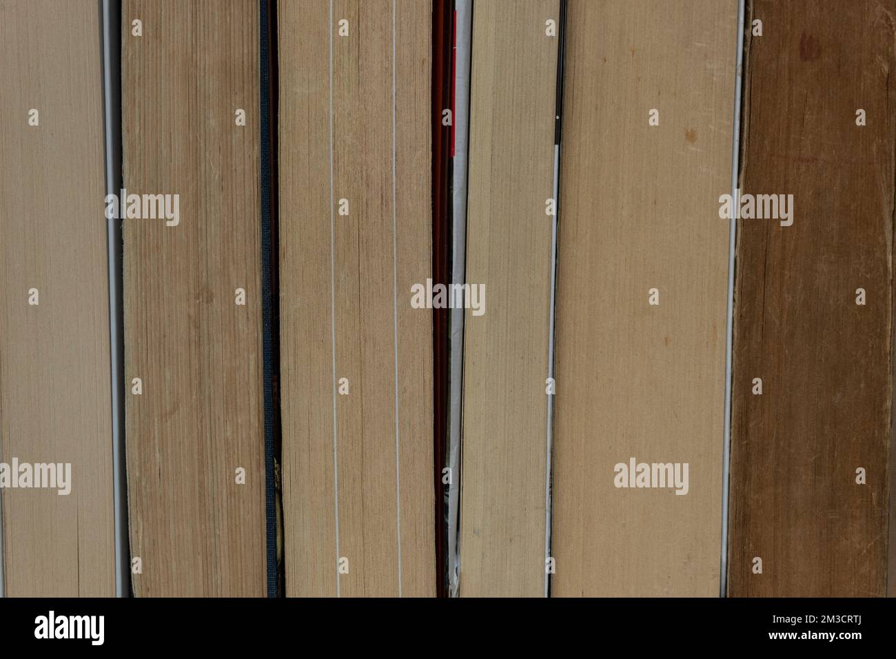 Nahaufnahme und alte Bücher am Vorderrand. Lesen, Studieren und Literaturkonzept Stockfoto
