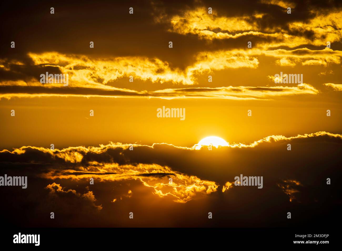 Sonnenuntergang vom Shibuya Sky aus gesehen Stockfoto