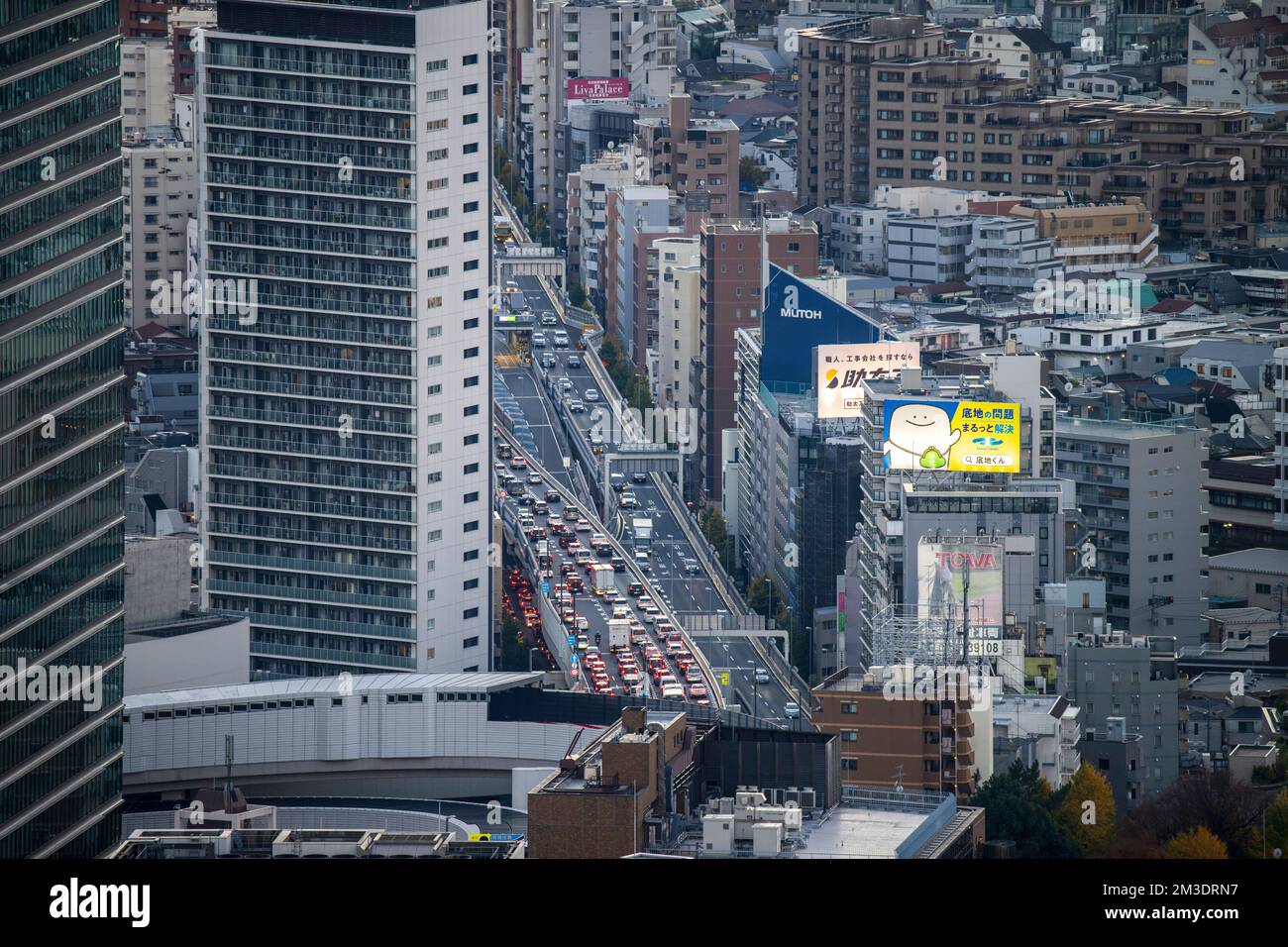 Die Metropolis von Tokio aus der Sicht des Shibuya Sky Stockfoto
