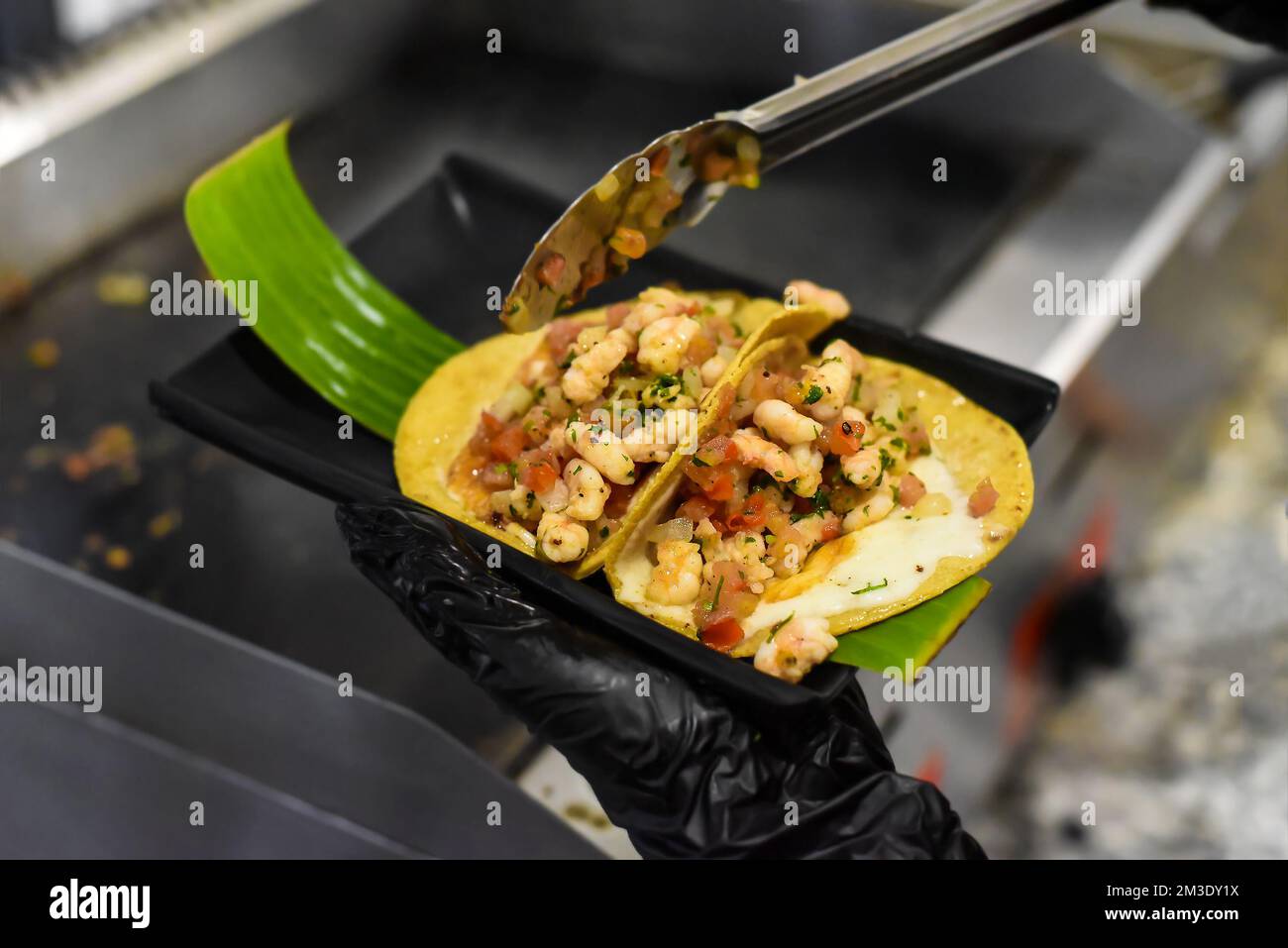 Hände kochen Tacos in einem mexikanischen Restaurant Stockfoto