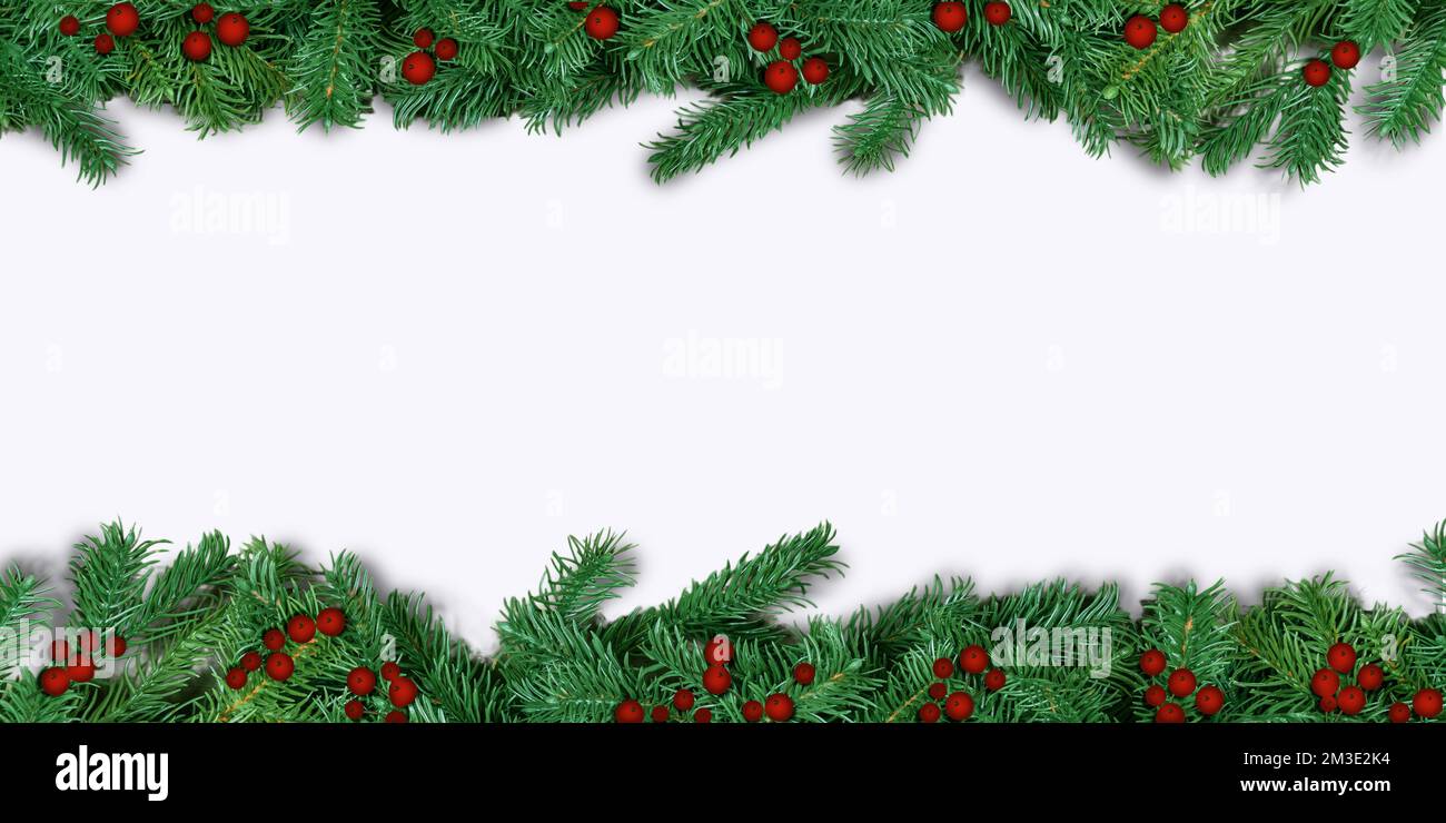 Weihnachtsgrenze mit Heidelbeeren isoliert auf weißem Hintergrund. Stockfoto