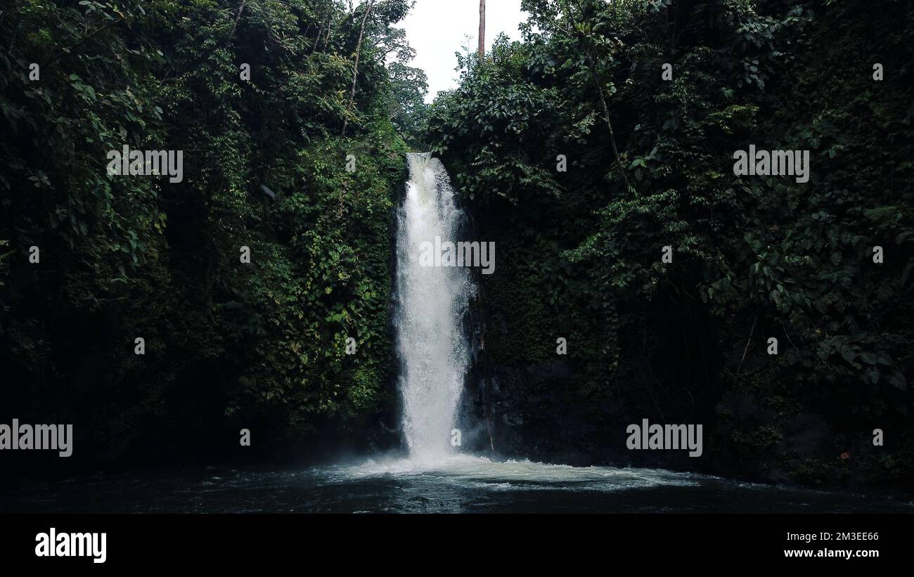 Malerischer Wasserfall im unberührten grünen Wald, Curup, Indonesien Stockfoto