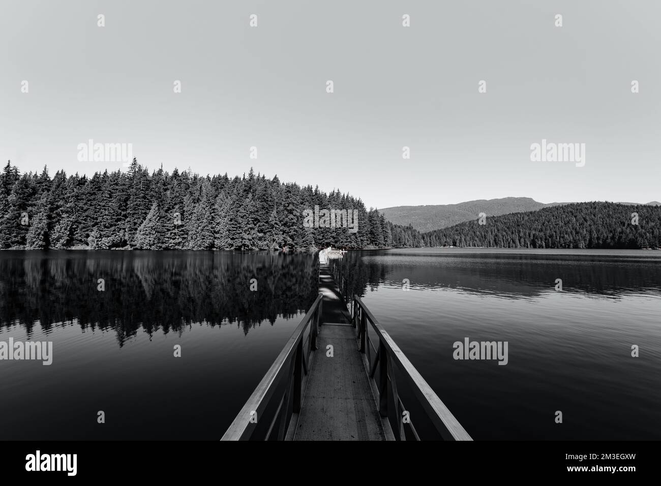 Eine Graustufenaufnahme eines langen Docks über dem Sasamat Lake, Kanada, British Columbia im Frühling Stockfoto