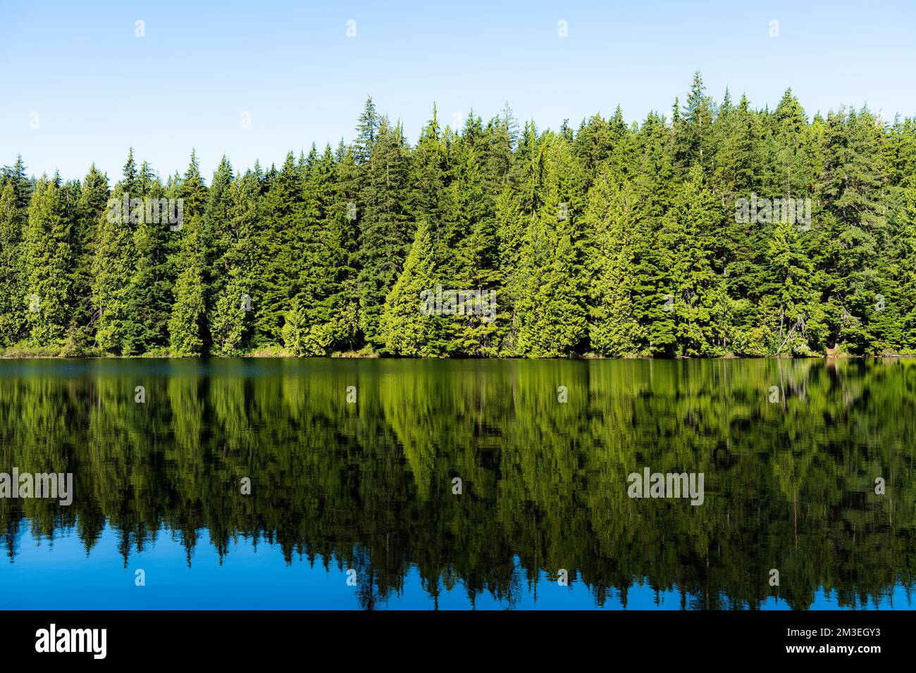 Eine wunderschöne Aussicht auf Sasamat Lake, Kanada, British Columbia im Frühling Stockfoto