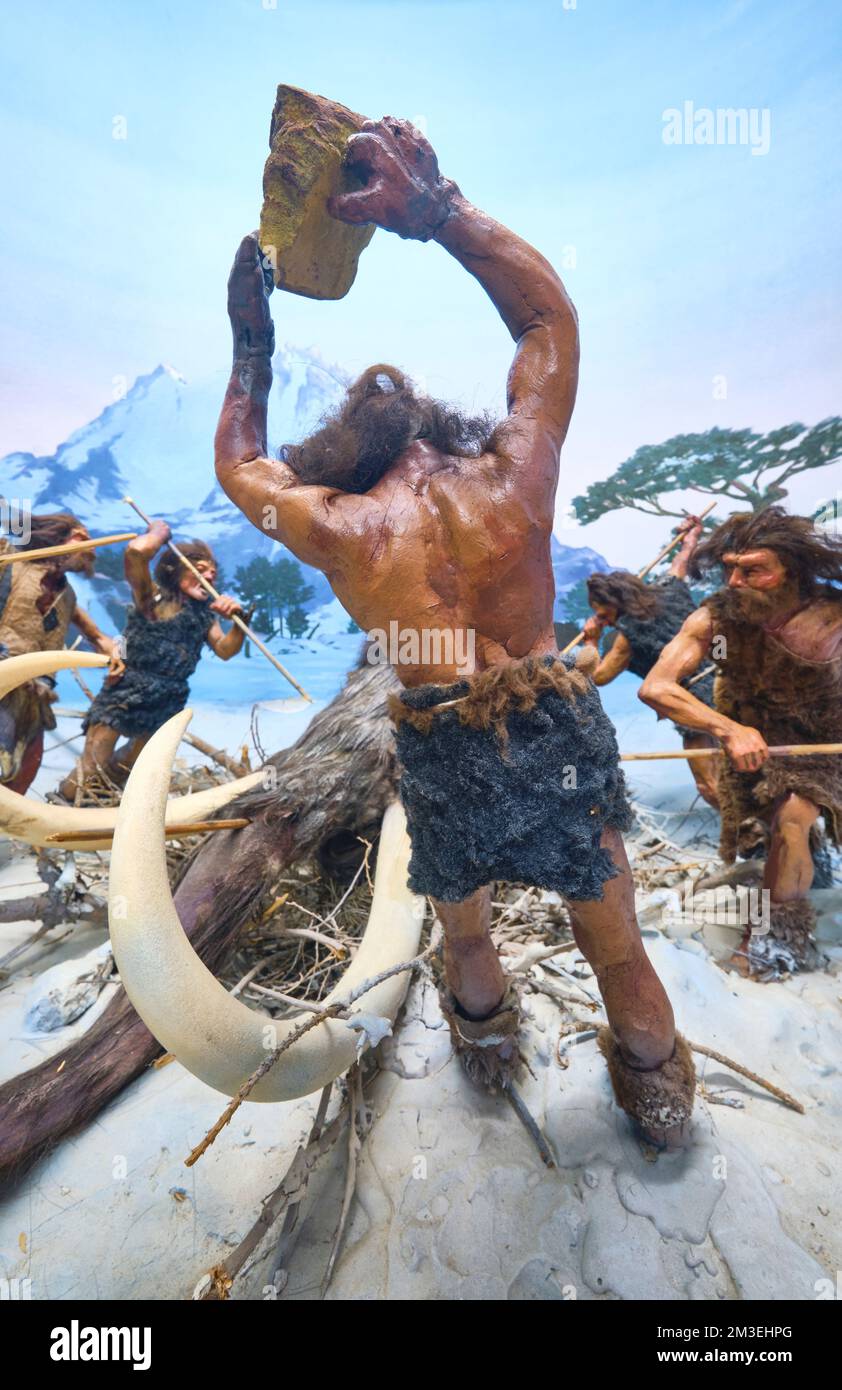 Höhlenmenschen, Steinzeitmenschen, die einen mastadon angreifen, Wooly Mamoth mit Steinen, Speere im Winter, im Schnee. Detail eines Dioramas im Gorodskoy Muzey, Stockfoto
