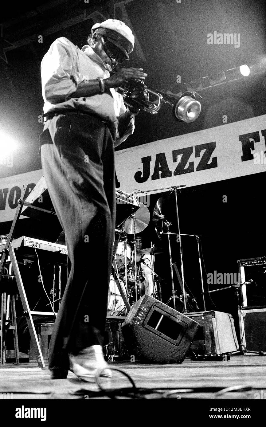 Miles Davis in einem Konzert über North Sea Jazz in der vvbvanbree-Fotografie von Haque1985 Stockfoto