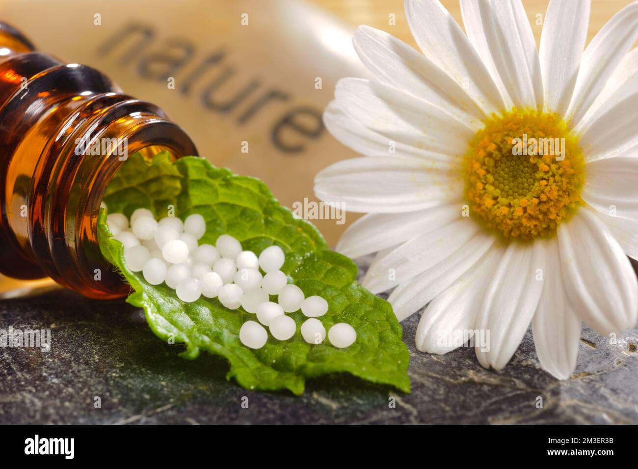 Alternative Medizin mit Kräuterpillen Stockfoto