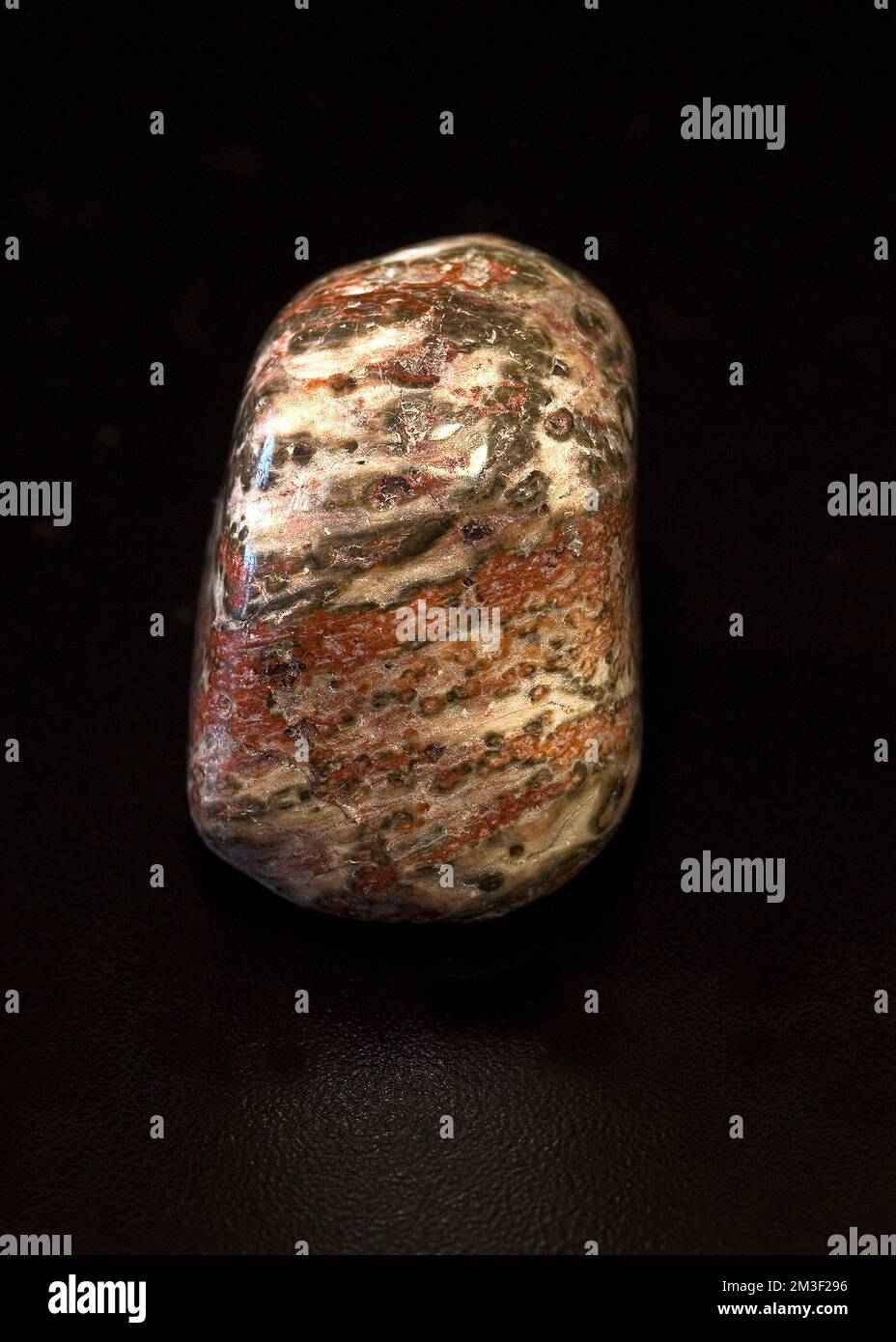 Makro-Nahaufnahme Farbfoto von „Leopardenleder-Rhyolith“, einem Halbedelstein aus Kristall, der in der Kristallheilung verwendet wird Stockfoto