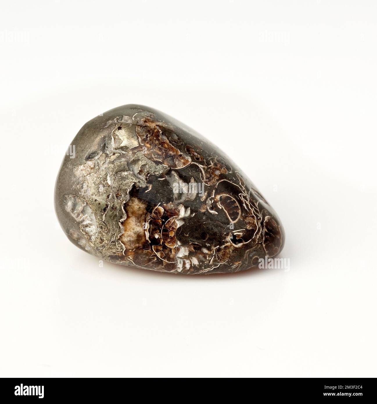 Makro-Nahbild-Farbfoto von "Marston Marble", einem halbwertvollen Kristallstein zur Behandlung der Kristallheilung. Mineralname ein Konglomerat Stockfoto