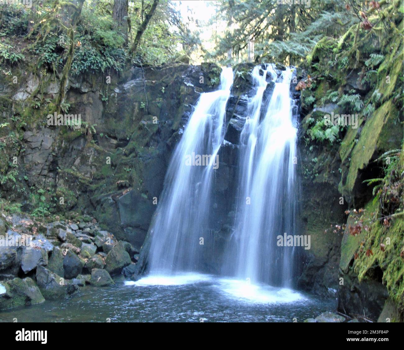 McDowell Creek Falls County Park Stockfoto