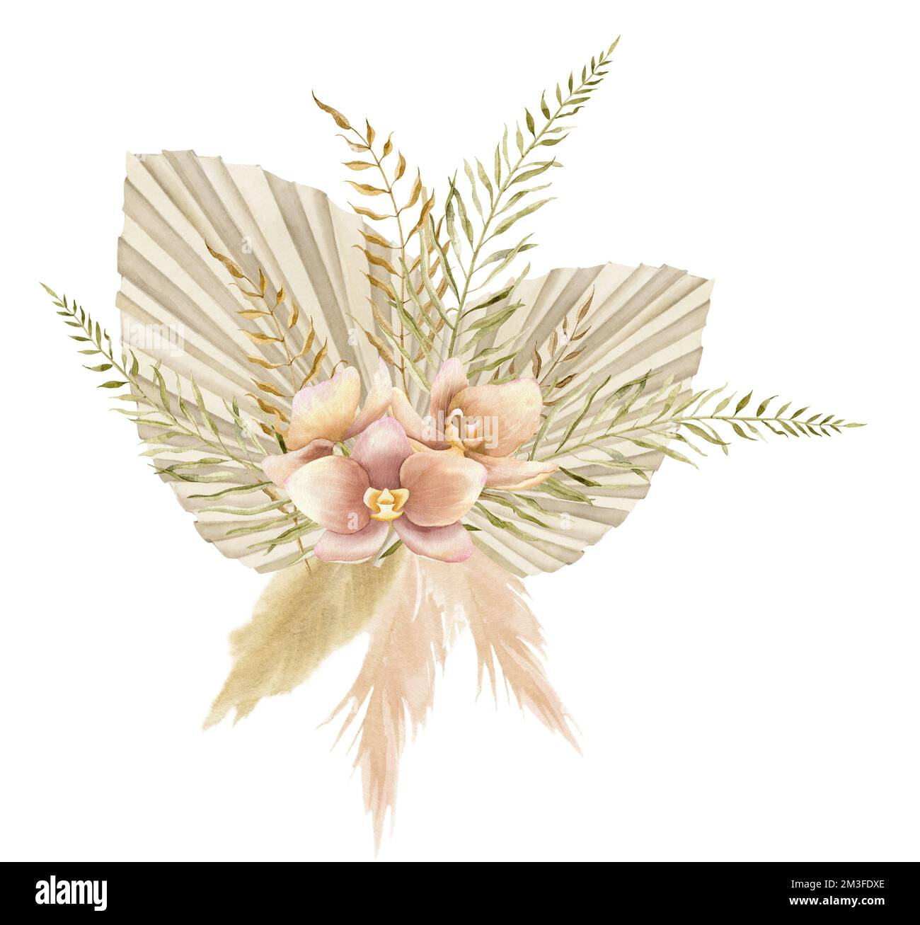 Aquarell Blumenstrauß mit getrockneten Palmenblättern und Orchideen im Boho-Stil. Handgezeichnete Blumenzeichnung tropischer Pflanzen mit Pampasgras in beigen Pastelltönen für Hochzeitseinladungen. Stockfoto