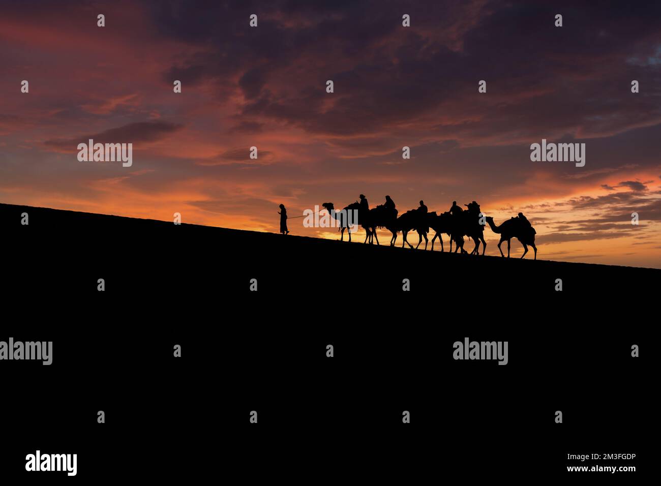 Eine Touristengruppe, geführt von einem ortskundigen beduinen-Reiseleiter, der auf Kamelen in der Wüste von Sealin, Katar, reitet. Stockfoto