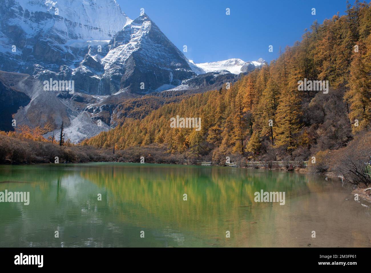 Yading Nature Reserve, Daocheng, Sichuan, China Stockfoto