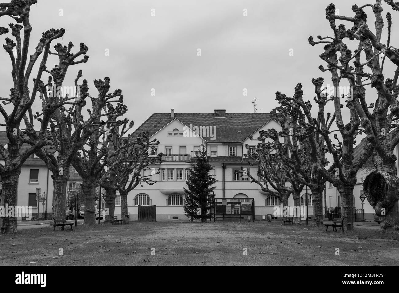 Herbstblick auf den Stadtplatz des XV-Rates in Straßburg, Frankreich, mit Bäumen an bewölkten Tagen, in Graustufen Stockfoto