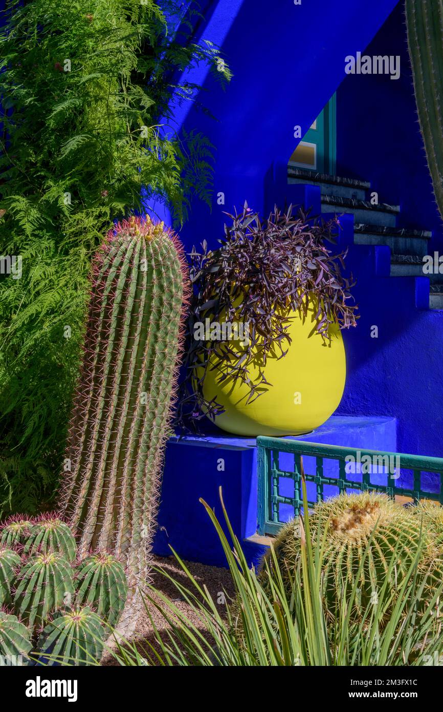 Jardin Majorelle, im Besitz von Yves Saint Laurent. Der als „Blauer