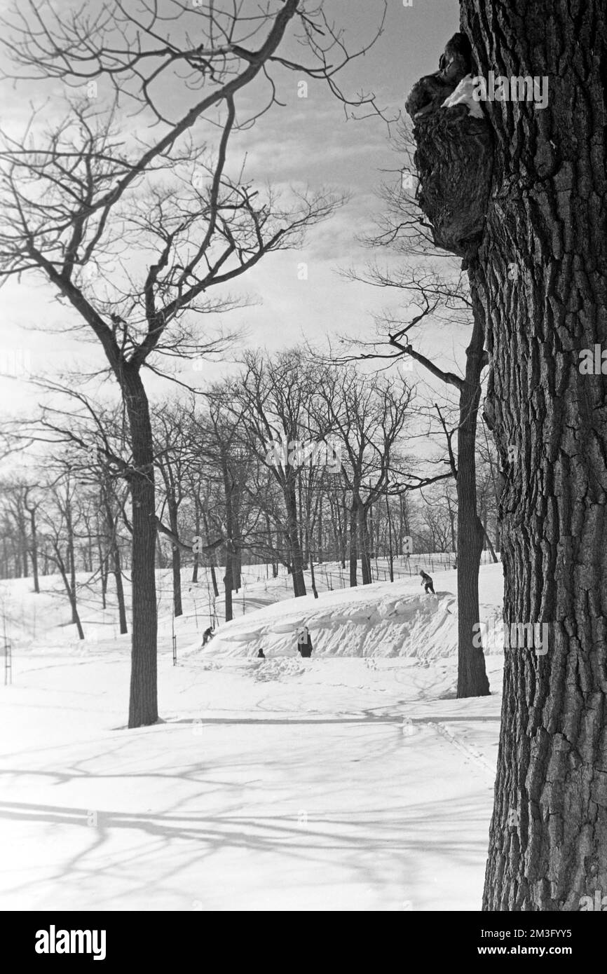 Kinder spielen im verschneiten Park in Montreal, Kanada, 1963. Kinder, die 1963 in einem Schneepark in Montreal, Kanada, spielen. Stockfoto