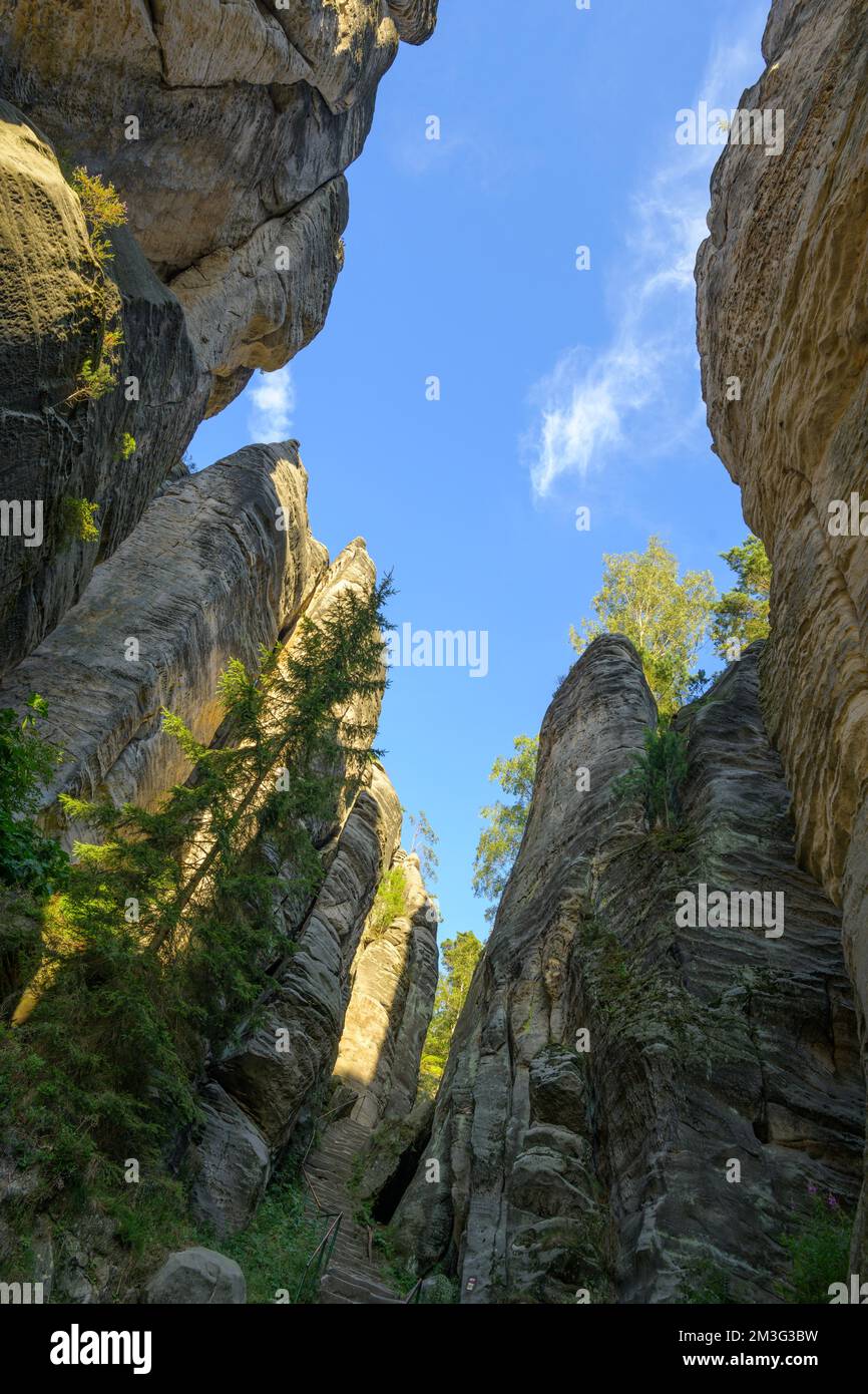 Prachovske Rocks, Prachovske skaly, Holin, Kralovehradecky kraj, Tschechische Republik Stockfoto