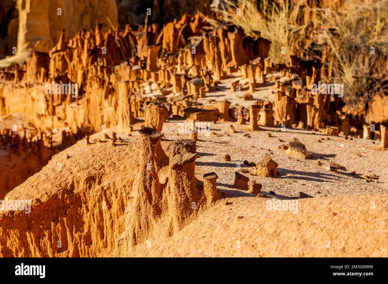 Lavaka von Ankarokaroka, eine einzigartige mondähnliche Landschaft, Ankarafantsika-Nationalpark, Madagaskar Stockfoto