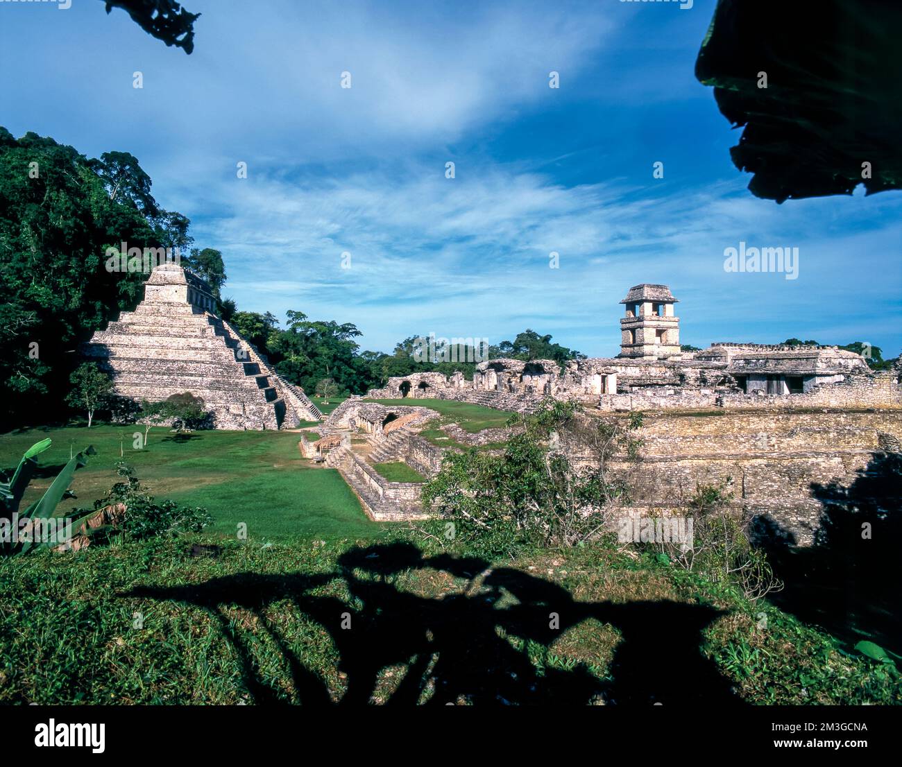 Archäologische Stätte von Palenque, maya-Kultur, Chiapas, Mesico. Stockfoto