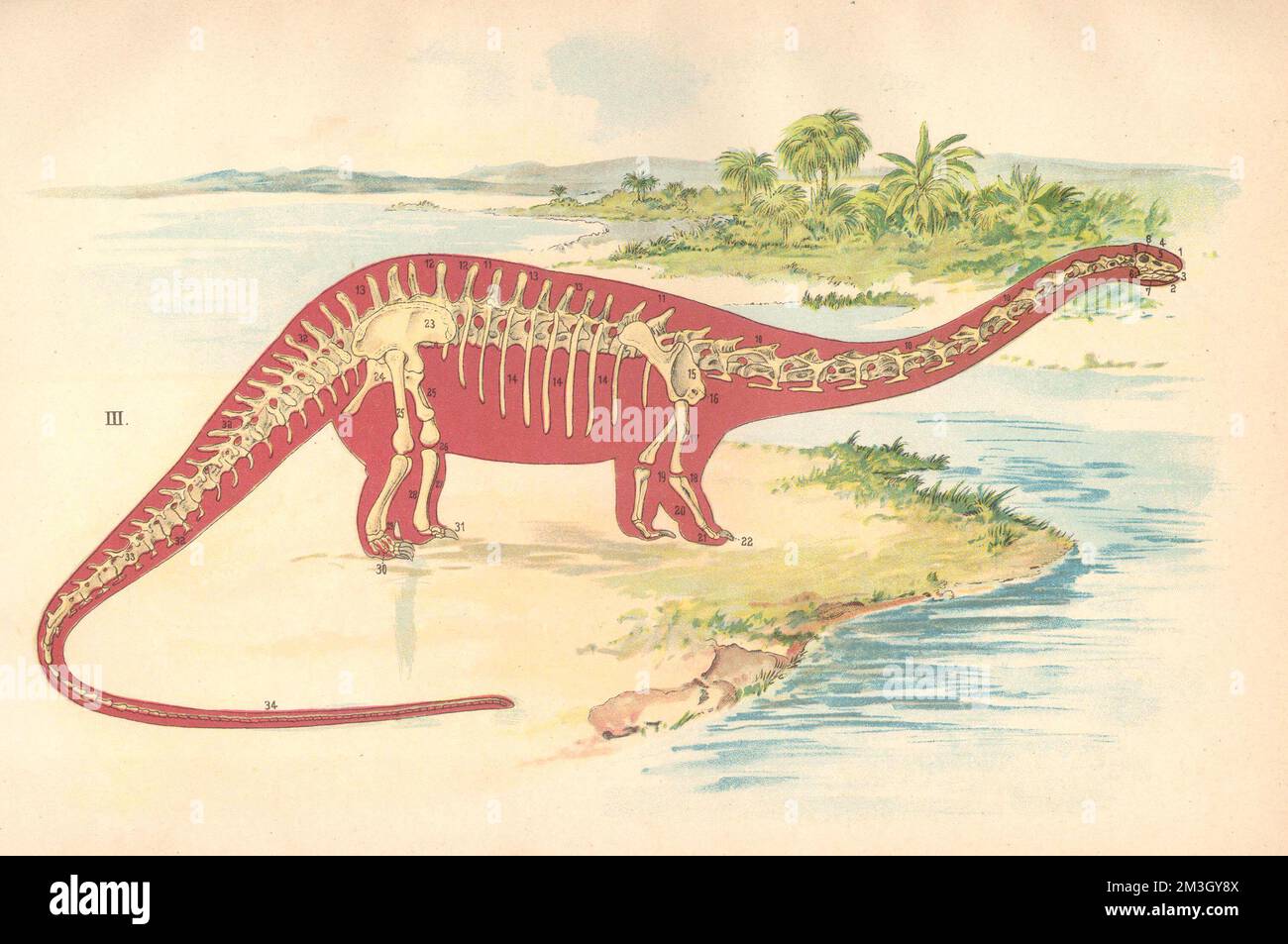 Ungezähmte Frauen Stockfoto