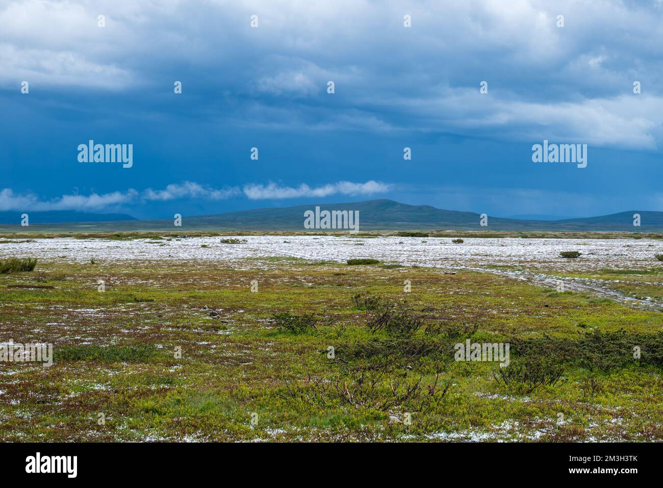 Schnee und dunkle Wolken im Juli fiel "flatruet" im Nordwesten Härjedalen, Schweden. Stockfoto