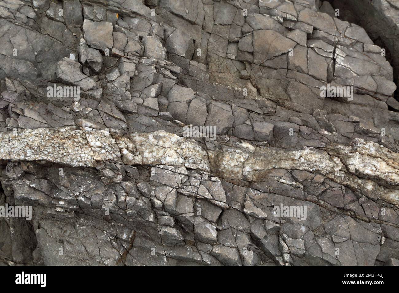 Felswand am Strand in Silverdale Cove, Silverdale, Cumbria, England, Großbritannien Stockfoto