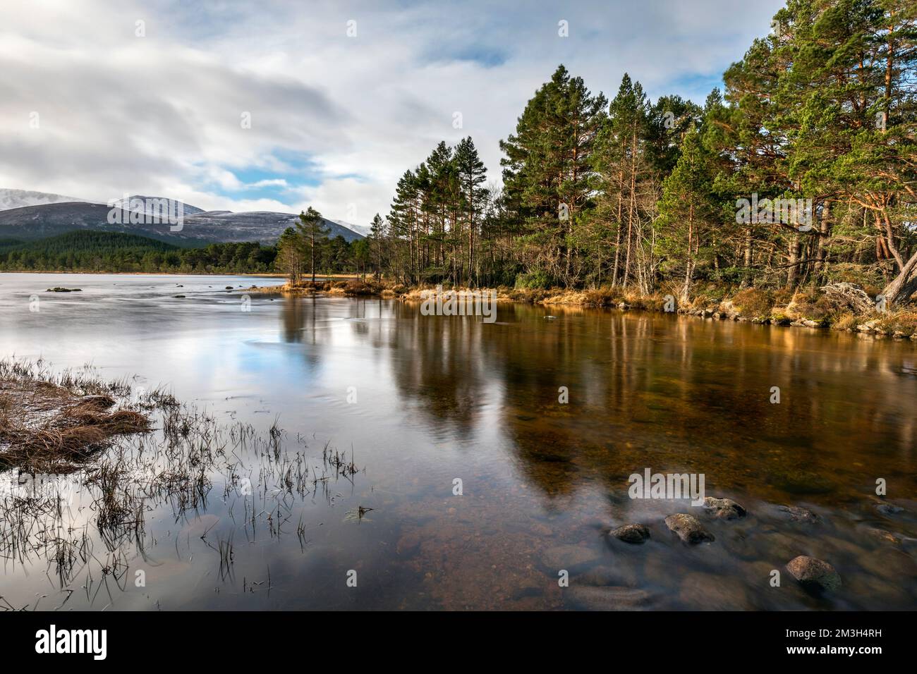 Loch Morlich; Highland; Schottland; Vereinigtes Königreich Stockfoto