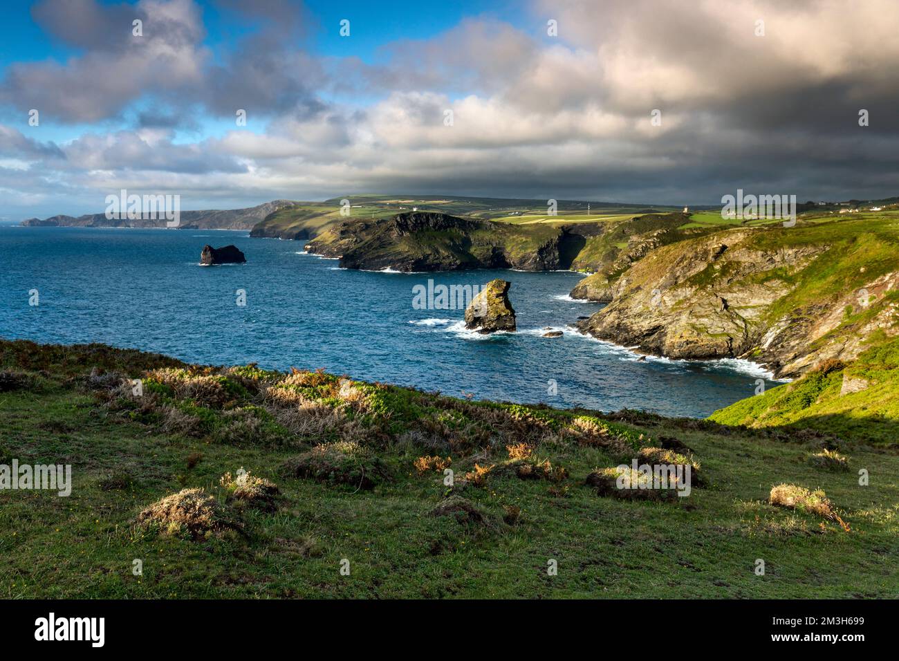Trevalga Cliff; Blick auf Boscastle; Cornwall; Großbritannien Stockfoto