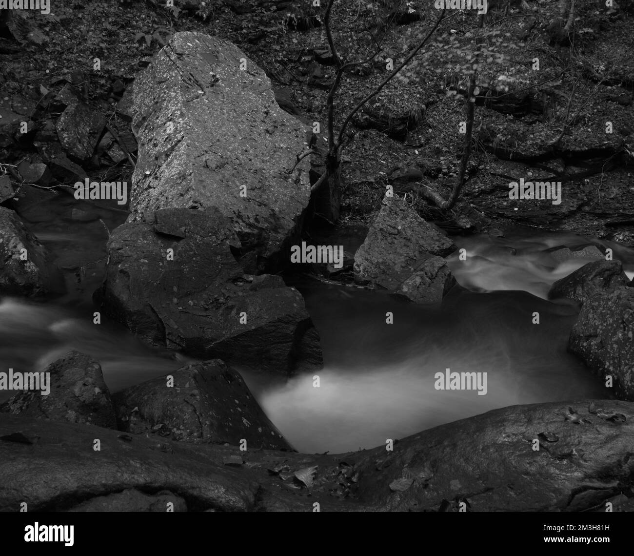 Felsen im Fluss in der toskana Stockfoto