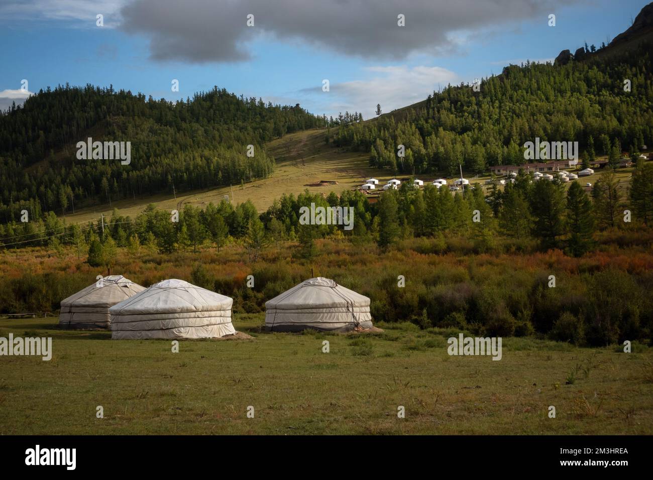 Jurtencamp umgeben von Bäumen auf dem Bergrücken. An einem sonnigen Tag auf dem Hügelkamm kleine Ger-Hütten. Stockfoto