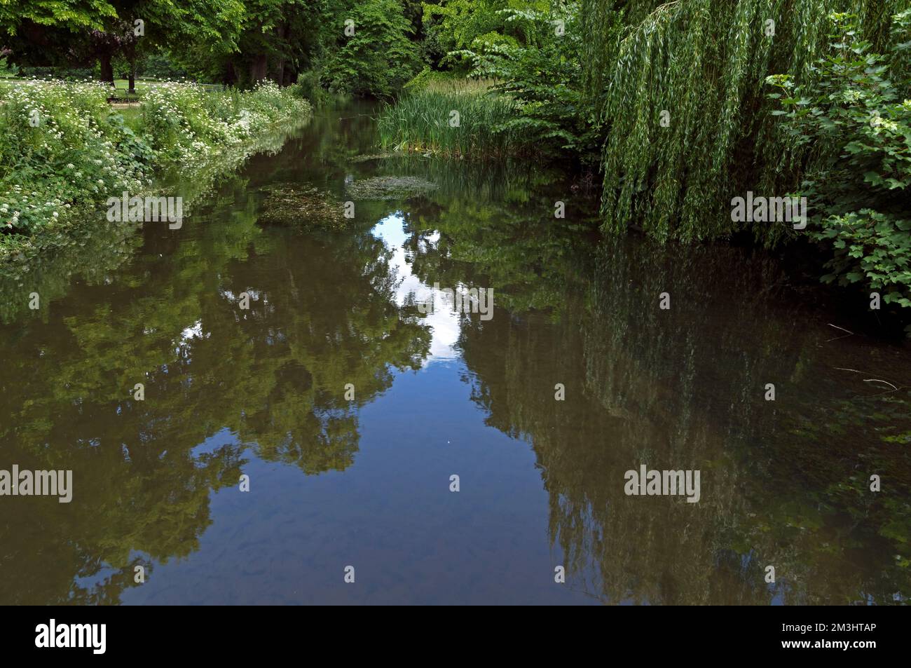 Bute Feeder Canal, Bute Park, Cardiff City Centre. 2022 Stunden Stockfoto