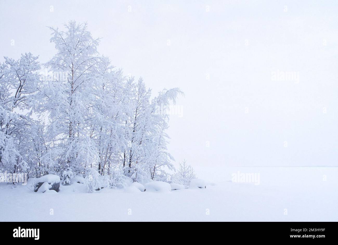 Schneebedeckte Bäume und Felsen. Winterlandschaft am Seeufer. Stockfoto